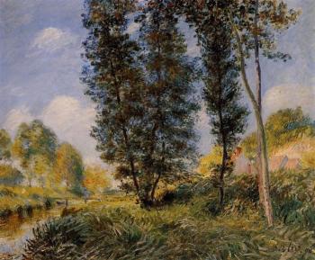 Alfred Sisley : Banks of the Orvanne